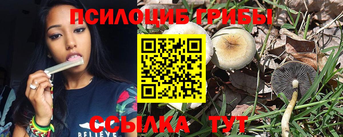 Псилоцибиновые грибы Psilocybine cubensis  Вход с VPN  Юрга 