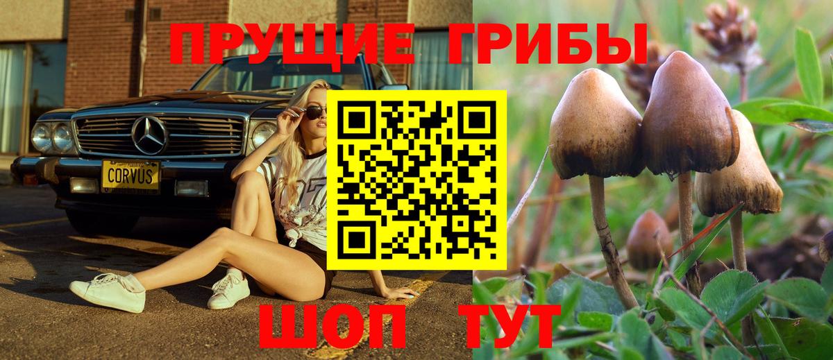Псилоцибиновые грибы прущие грибы Юрга